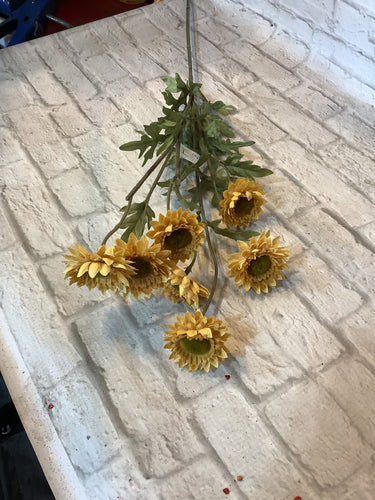 K strawflower spray