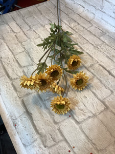 K strawflower spray
