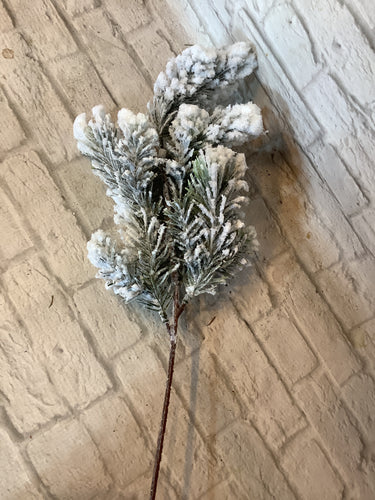 K snow noble pine spray