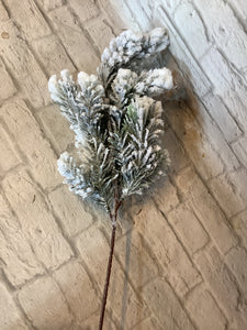 K snow noble pine spray