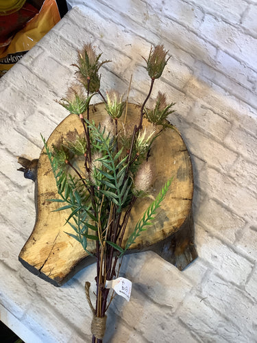 K pussy Willow bundle