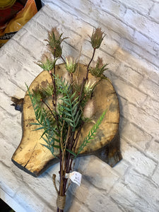 K pussy Willow bundle