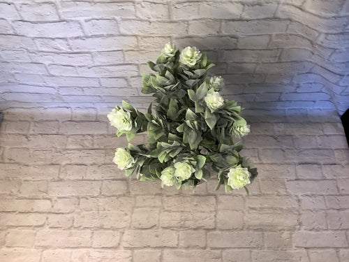 K aylesford blooms boka