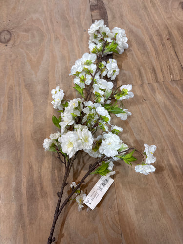 K Blossom Branch