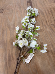 K Blossom Branch