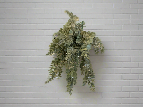 K Eucalyptus Spray
