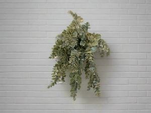 K Eucalyptus Spray
