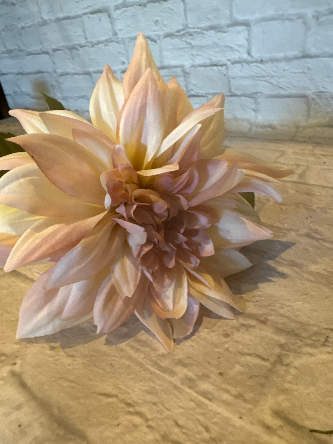 K Dahlia Blush