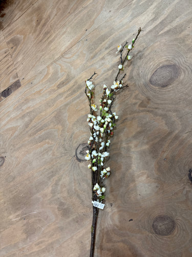 K Cherry Blossom