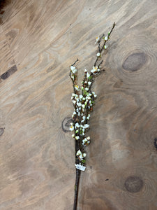 K Cherry Blossom