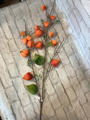 K Chinese lantern spray