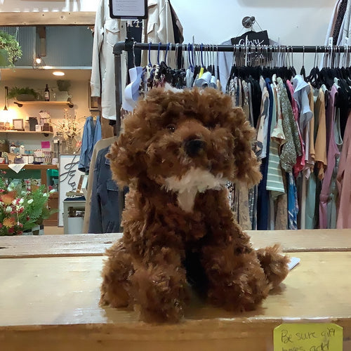 K Bosco Chocolate Labradoodle Dog