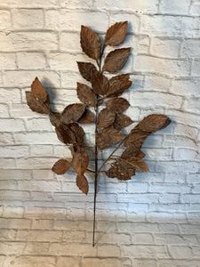 K Apple leaf spray brown