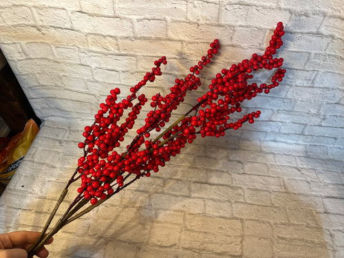 K all weather red berry spray