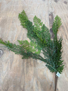 K Fern Hanging Spray