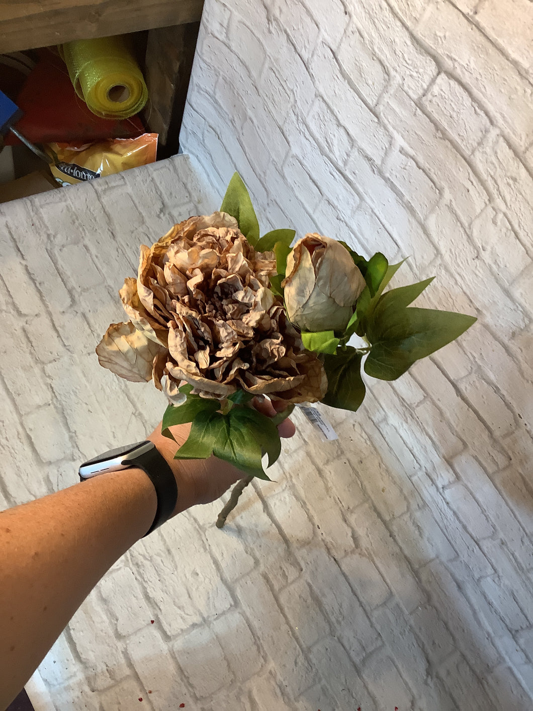 K Japanese peony