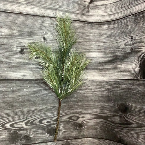 K Evergreen Pick