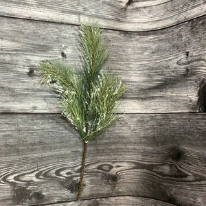 K Evergreen Pick