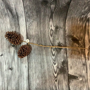 K 2 Pinecone Spray