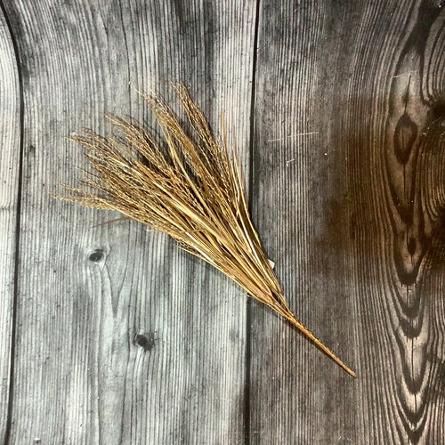 K Gold Grass