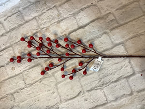 K outdoor berry spray