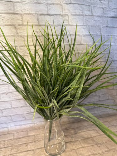 K Grass Bush