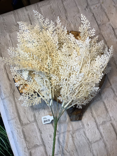 K fern bush cream