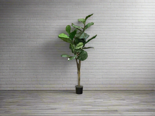 K 4’ fiddle tree with pot