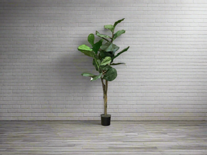 K 4’ fiddle tree with pot