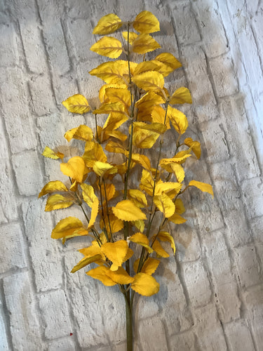 K autumn birch leaf gold