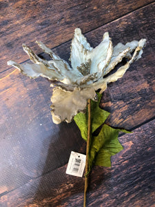 K Cream Poinsettia