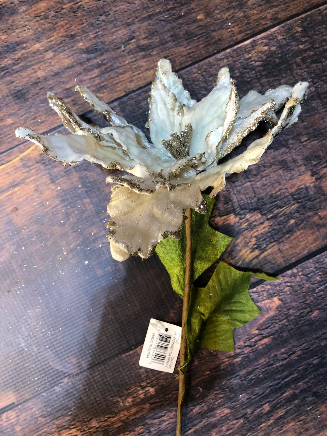 K Cream Poinsettia