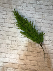 K Cypress Stem