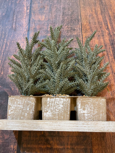 K Glitter Pine Trees with Tray