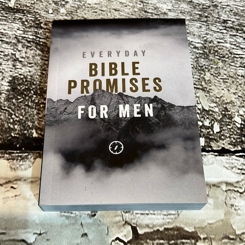 K Everyday Bible Promises For Men Book