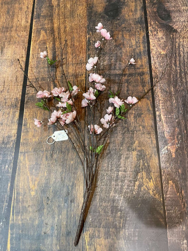 K Cherry Blossom Stem