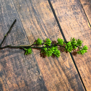 K Succulent Spray