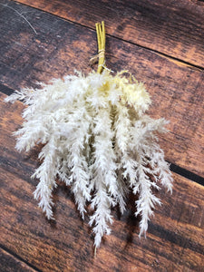 K White Pompas Grass