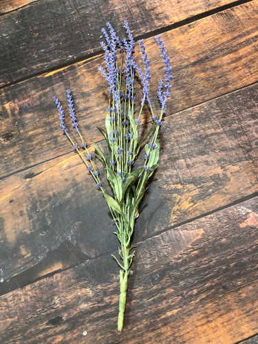 K Lavender Stems