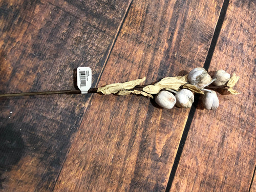 K Dried Pod Spray