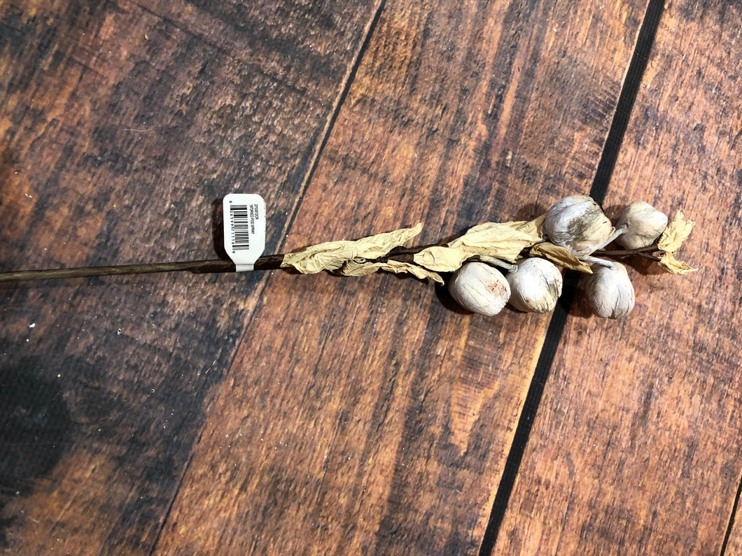 K Dried Pod Spray