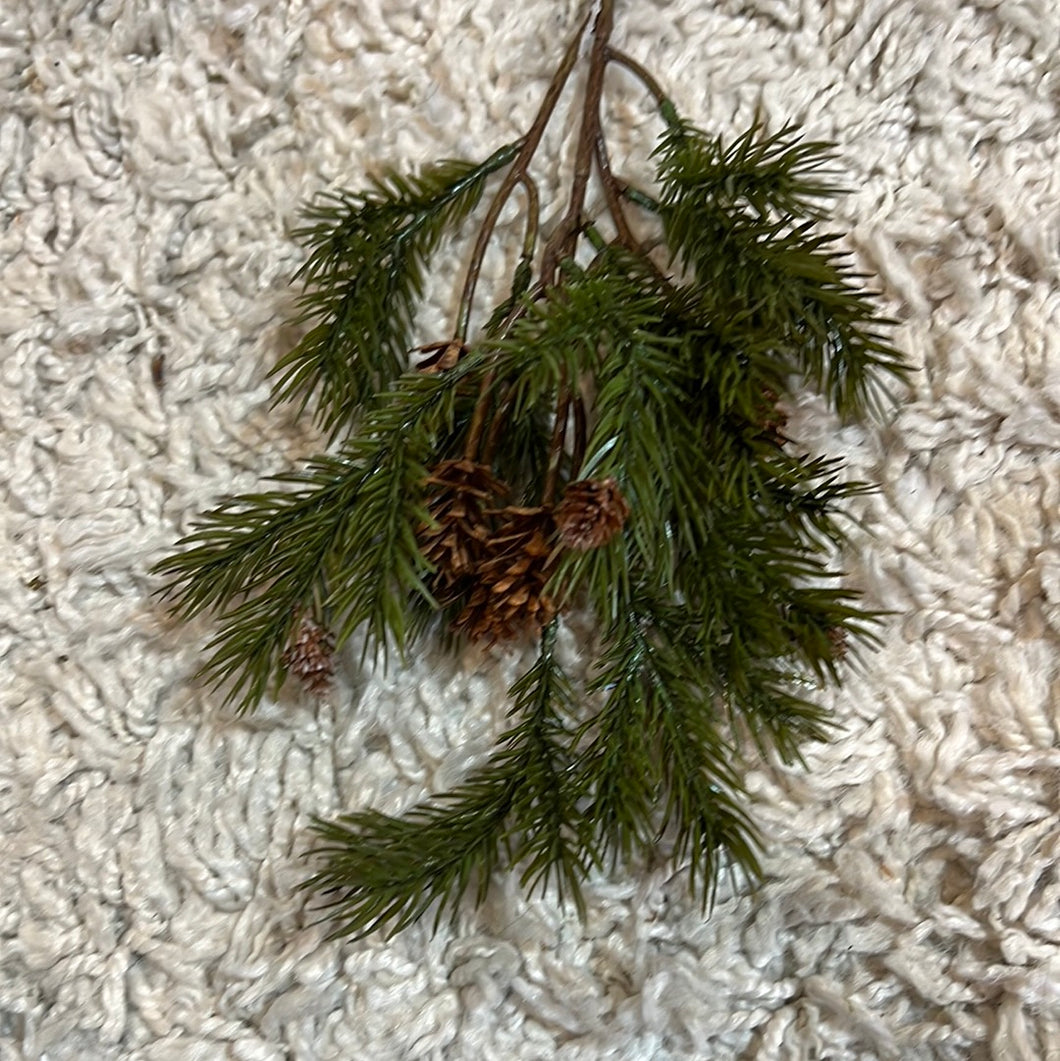 K Angel Pine with Cone Spray