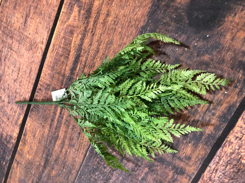 K Leather Fern
