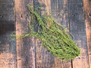 K Mossy Stem
