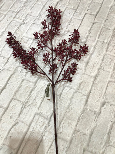 K Eucalyptus Seed Bundle