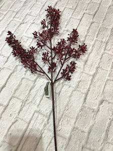 K Eucalyptus Seed Bundle