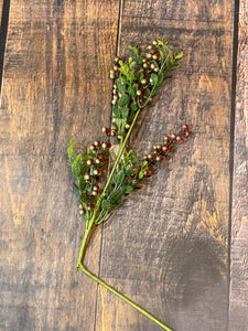 K Berry Fern Stem