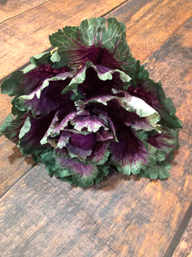 K Purple Cabbage