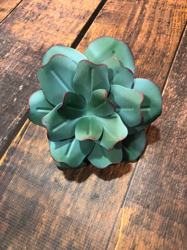 K Blue Metal Succulent-Large