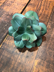 K Blue Metal Succulent-Large